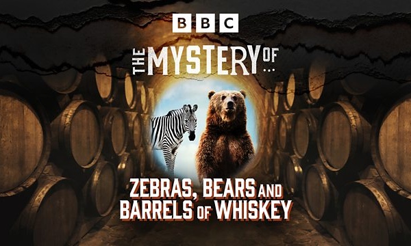 The Mystery of Zebras, Bears and Barrels of Whiskey, BBC Radio NI