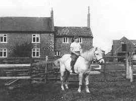 photograph: Bramper Farm